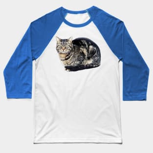 Tabby Cat Sitting Baseball T-Shirt